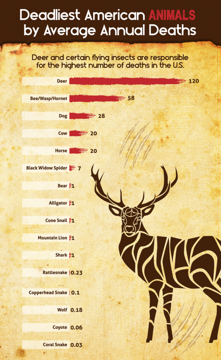 Most Unique Ways to Die From an Animal in Your State - The Big Picture