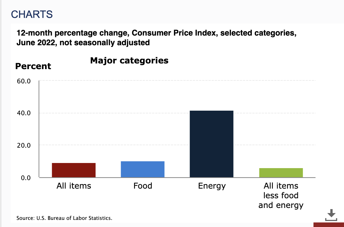 Sizzling Information: When Does CPI Replicate Peak?